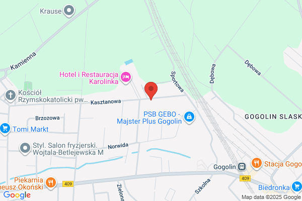 Ernst Daniel. Uslugi geodezyjne i kartograficzne