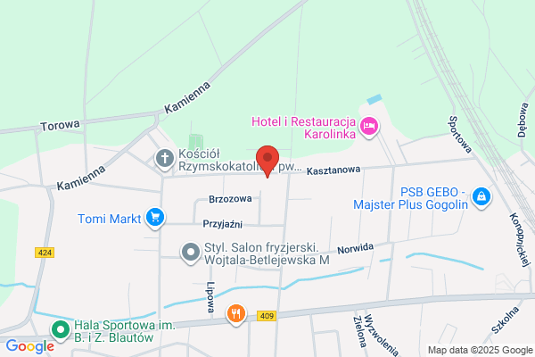 Ficek Stefan. Geodezja