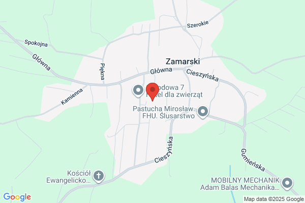 Czermak Bozena. Malarstwo, tapeciarstwo