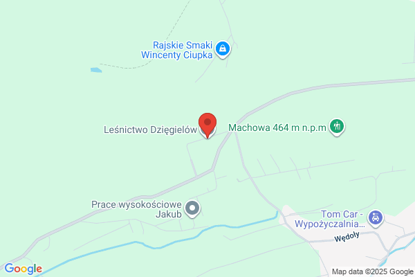 Lesnictwo Dziegielów
