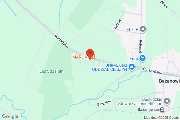 Marlin. Restauracja. Kuchnia polska. Organizacja imprez okolicznosciowych
