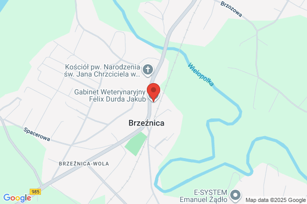 Durbacz Wlodzimierz, lek. wet. Uslugi weterynaryjne