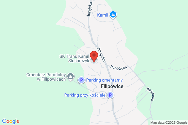 Trans-Sud. Transport towarowy. Skarzycki A.