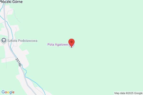 Agat. Plonka A.