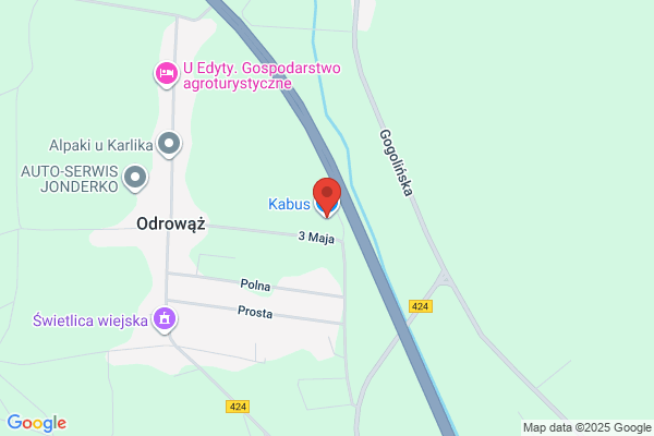 Kabus. Producent kolków, drazków drewnianych, elementów meblowych