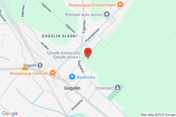 Lesnictwo Górazdze. Nadlesnictwo Strzelce Opolskie