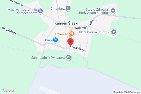 Promyk. Sklep pamiatkarski, kwiaty