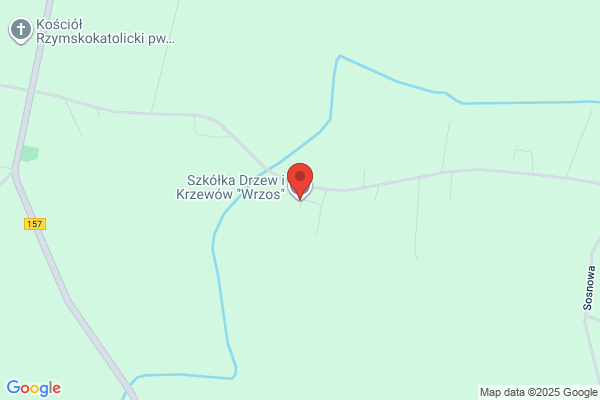 Szkólka drzew i krzewów