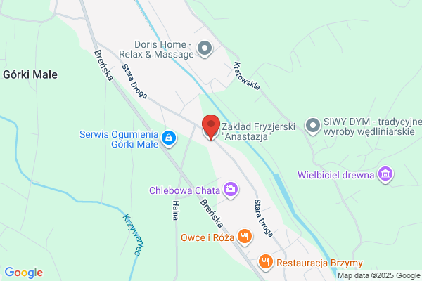 Anastazja. Salon fryzjerski. Rudzicka A.