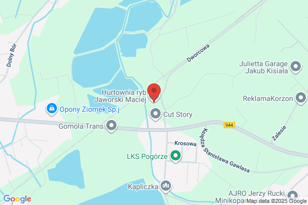 Jaworski. Hurtownia ryb swiezych i mrozonych