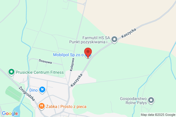 Mobilpol. Naprawa samochodów osobowych i dostawczych. Polonski H.