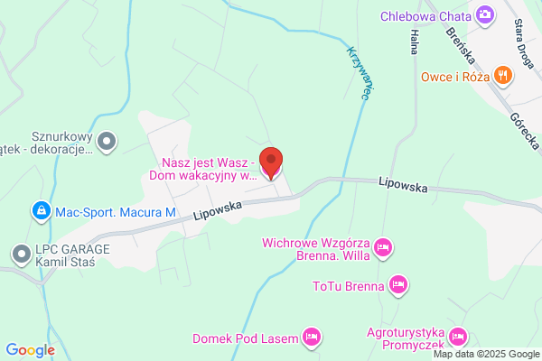 Mojescik D. Przewóz towarów masowych