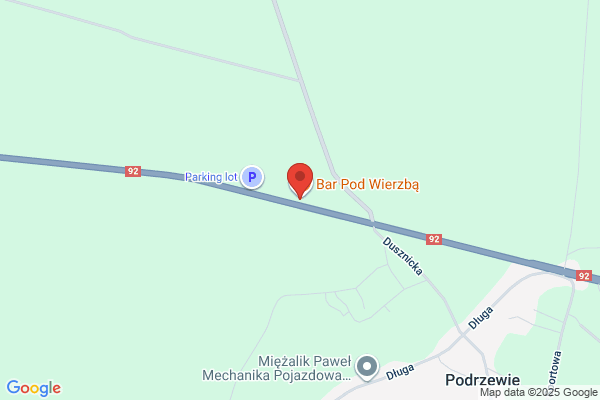 Pod Wierzba. Bar