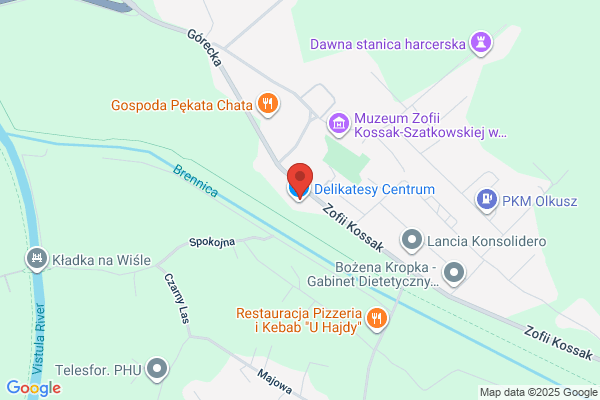 Szczotka Kazimiera. Kwiaciarnia