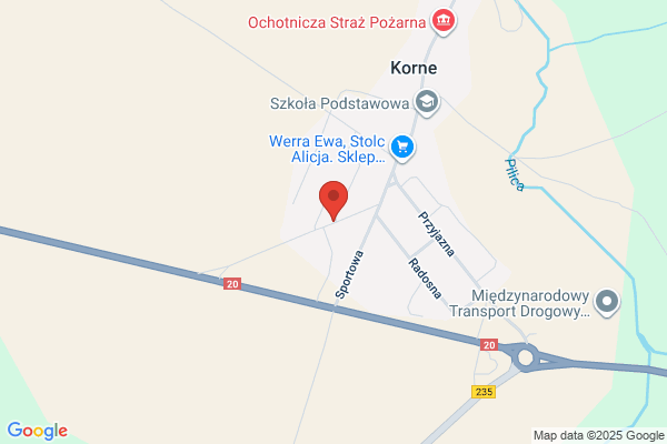 KDL Trans. Uslugi transportowe. Kot R.