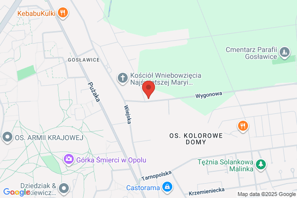 Aftyka Wieslawa. Sklep miesny