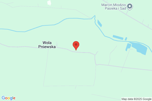 Amex. PPH. Czajkowski M.