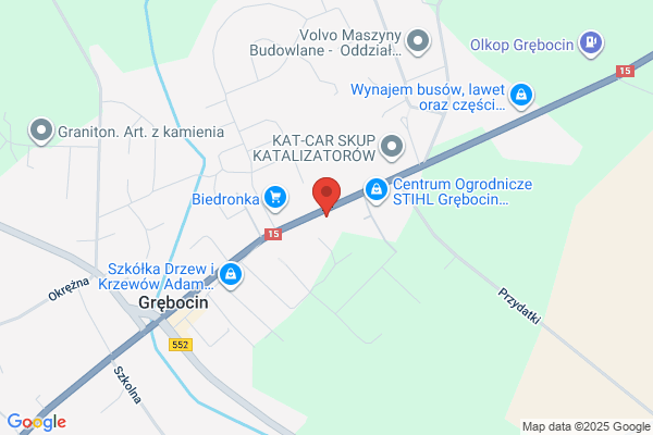 Express Service. Naprawa i czesci do samochodów Ford