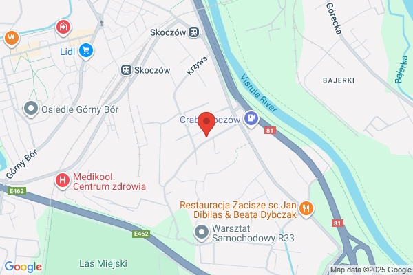 Lesnictwo Borowiec. Nadlesnictwo Grodziec