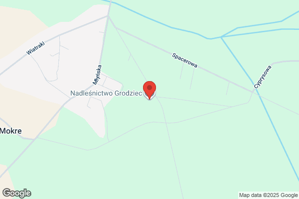 Lesnictwo Lagiewniki. Nadlesnictwo Grodziec