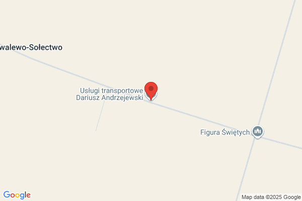 Rychlewski Dariusz. Uslugi transportowe