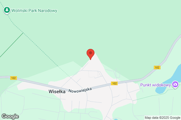 Wiselka Consulting. Wiselka J.