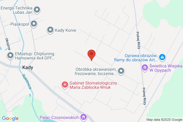 Drzewiec. Konserwacja terenów zielonych. Gliwinski M.
