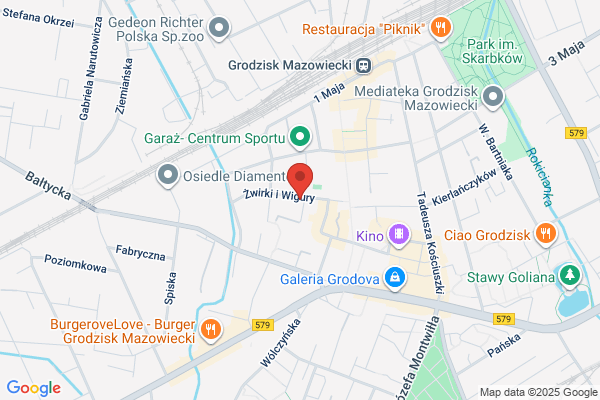 Nesta. Lecznica dla zwierzat