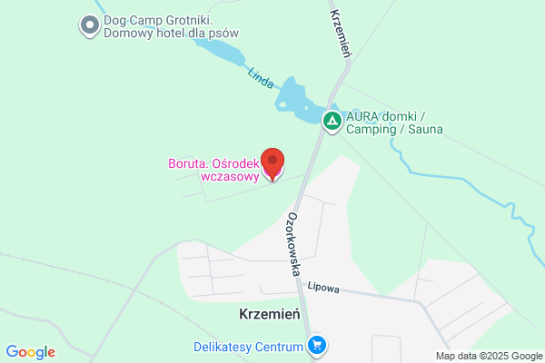Boryna