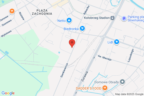 Bambino. Hurtownia lodów Bambino i mrozonek
