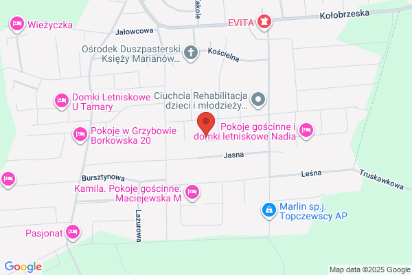 Cegielski Grzegorz. Firma uslugowo - handlowa
