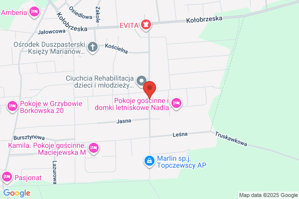 Pasat. Pensjonat. Michalowski J.