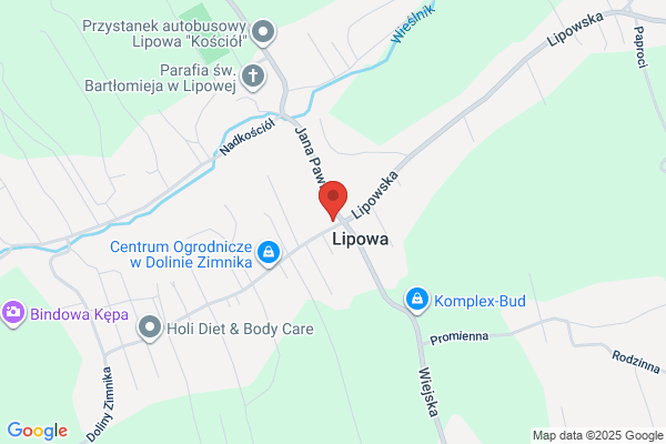Lila. Kwiaciarnia. Siwy L.