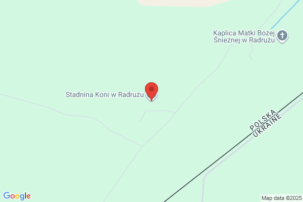 Stadnina koni