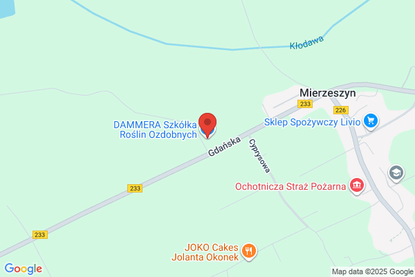 Dyptam. Szkólka drzew i krzewów ozdobnych. Szela A.S.