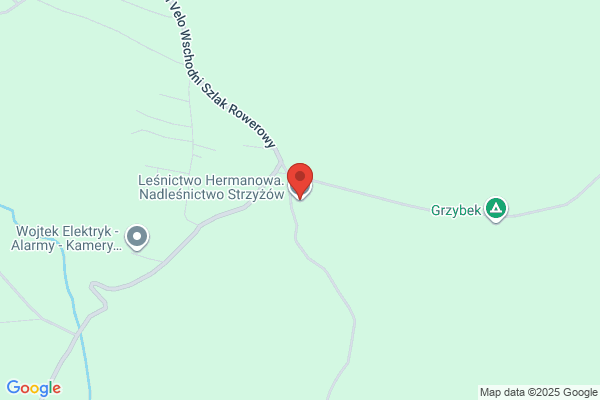 Lesnictwo Hermanowa. Nadlesnictwo Strzyzów