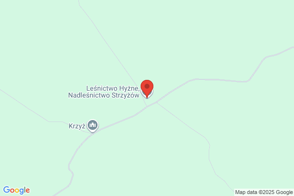 Lesnictwo Hyzne. Nadlesnictwo Strzyzów