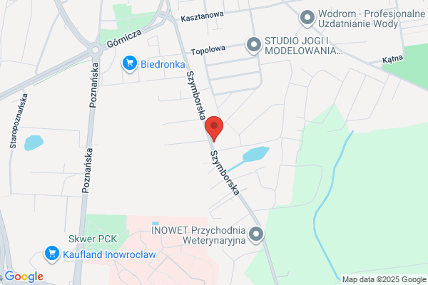 Wudniak M. Przedsiebiorstwo handlowo - uslugowe