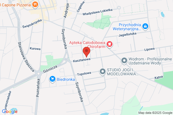 Garuda. Art. egzotyczne. Budka P.
