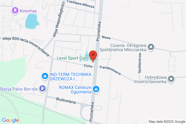 Automyjnia