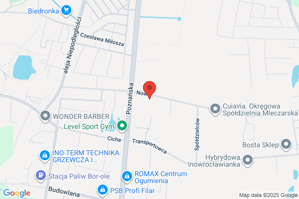 Denar. Buzalska A.