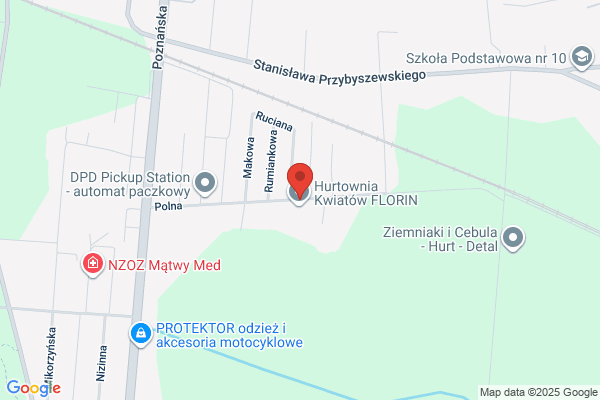 Florin. Importer kwiatów cietych