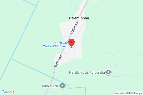 Janmich. Naprawa wózków widlowych i paletowych