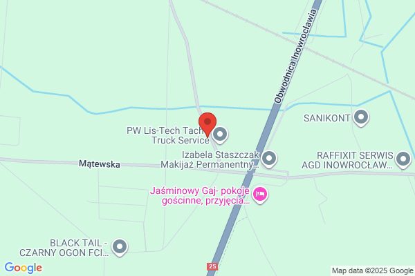 Wisniewski Ryszard. Uslugi transportowe