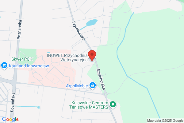 Inowet. Gabinet weterynaryjny. A. Kiejkowska