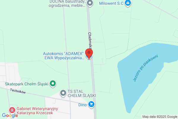 Król Ewelina. Wynajem samochodów osobowych