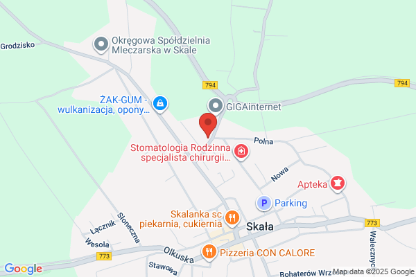 Diligens. Transport krajowy, miedzynarodowy, przewóz samochodów