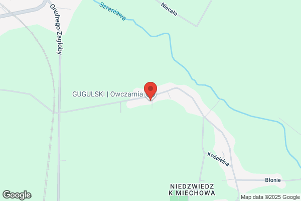 Gugulski Wladyslaw. Zaklad wedliniarski, ubojnia