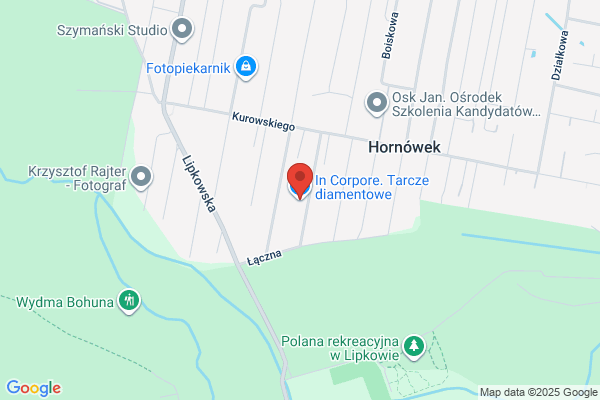 In Corpore. Tarcze diamentowe