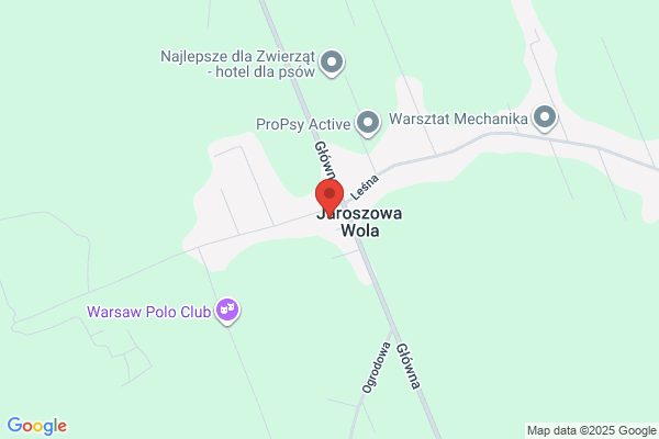 Uslugi stolarsko - posadzkarskie